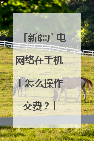 新疆广电网络在手机上怎么操作交费？