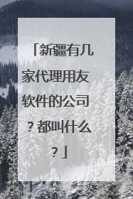 新疆有几家代理用友软件的公司？都叫什么？