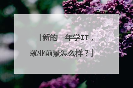 新的一年学IT,就业前景怎么样?