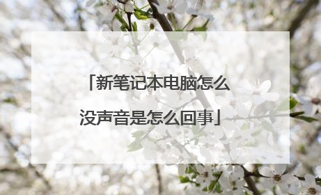 新笔记本电脑怎么没声音是怎么回事