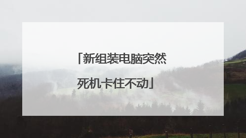 新组装电脑突然死机卡住不动