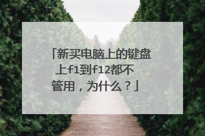 新买电脑上的键盘上f1到f12都不管用，为什么？