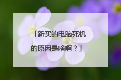 新买的电脑死机的原因是啥啊?