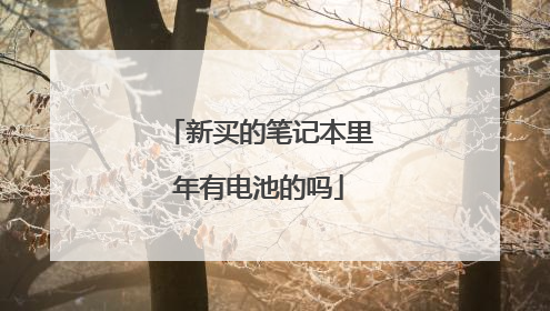 新买的笔记本里年有电池的吗