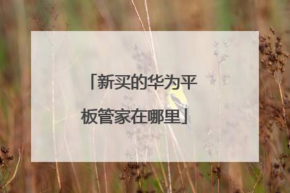 新买的华为平板管家在哪里