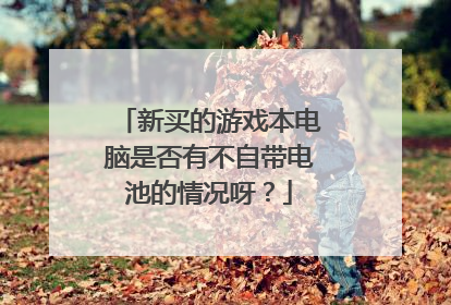 新买的游戏本电脑是否有不自带电池的情况呀?