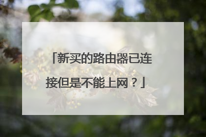 新买的路由器已连接但是不能上网?