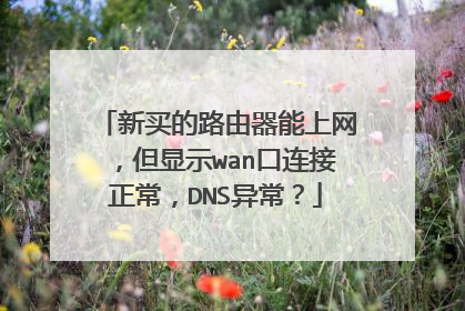 新买的路由器能上网，但显示wan口连接正常，DNS异常？