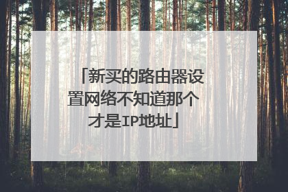 新买的路由器设置网络不知道那个才是IP地址