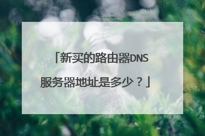 新买的路由器DNS服务器地址是多少?