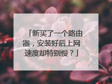 新买了一个路由器,安装好后上网速度却特别慢?