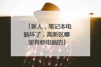 新人,笔记本电脑坏了,高新区哪里有修电脑的