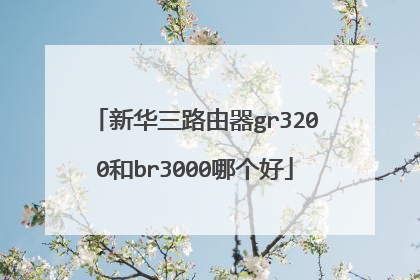 新华三路由器gr3200和br3000哪个好