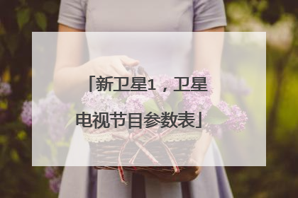 新卫星1,卫星电视节目参数表