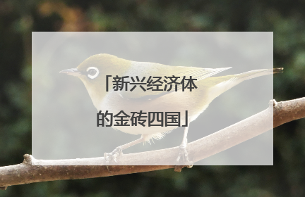 新兴经济体的金砖四国
