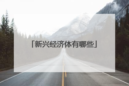 新兴经济体有哪些