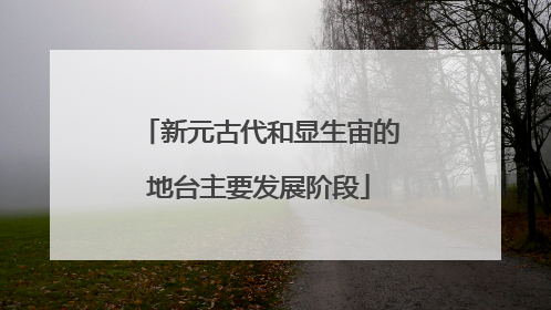 新元古代和显生宙的地台主要发展阶段