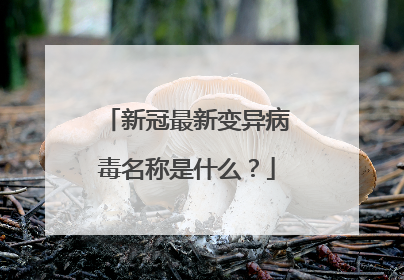 新冠最新变异病毒名称是什么?