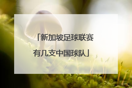 新加坡足球联赛有几支中国球队