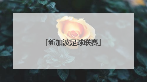 新加波足球联赛