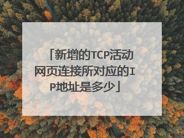 新增的TCP活动网页连接所对应的IP地址是多少