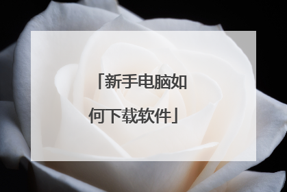 新手电脑如何下载软件
