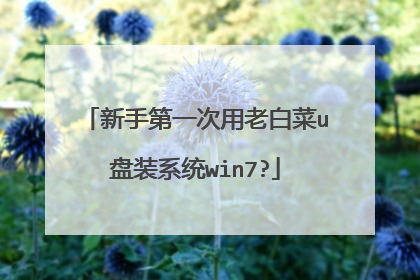 新手第一次用老白菜u盘装系统win7?