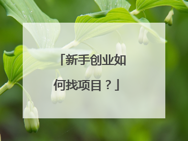 新手创业如何找项目？