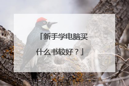 新手学电脑买什么书较好？