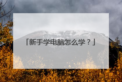 新手学电脑怎么学？
