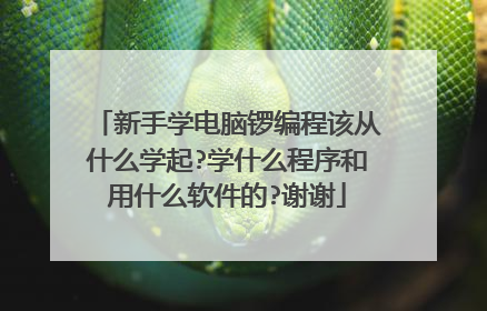 新手学电脑锣编程该从什么学起?学什么程序和用什么软件的?谢谢