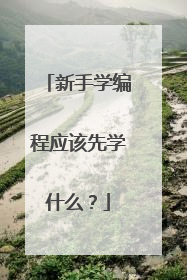 新手学编程应该先学什么?