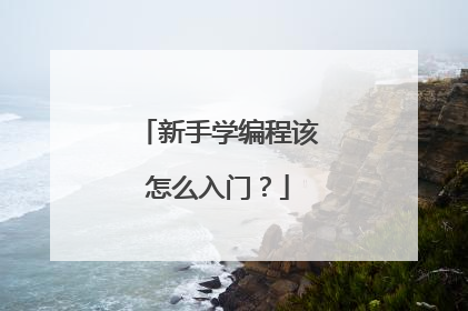 新手学编程该怎么入门？