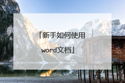 新手如何使用word文档