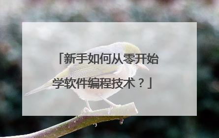 新手如何从零开始学软件编程技术?
