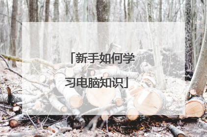 新手如何学习电脑知识