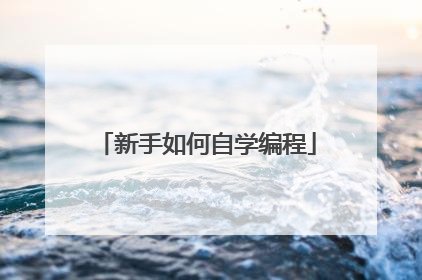 新手如何自学编程