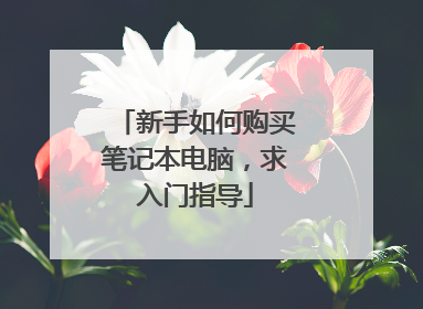 新手如何购买笔记本电脑，求入门指导