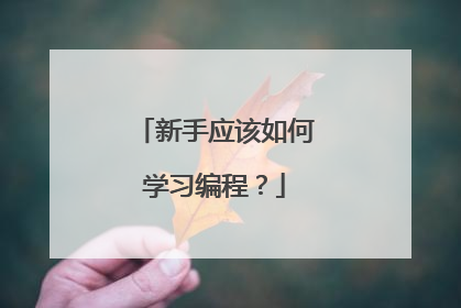 新手应该如何学习编程?