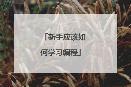 新手应该如何学习编程
