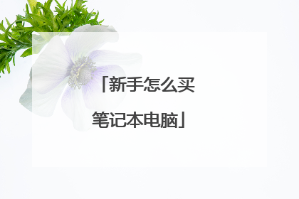 新手怎么买笔记本电脑