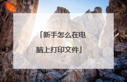 新手怎么在电脑上打印文件