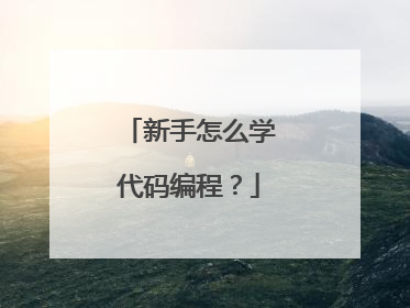 新手怎么学代码编程？