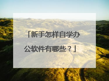 新手怎样自学办公软件有哪些？