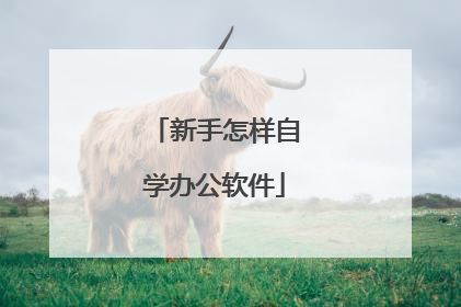 新手怎样自学办公软件