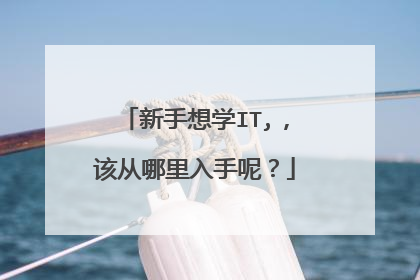 新手想学IT,,该从哪里入手呢?