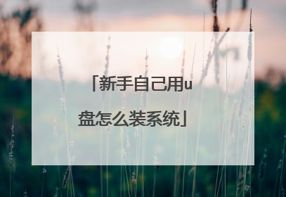 新手自己用u盘怎么装系统