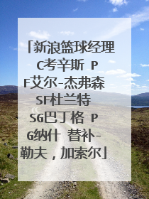 新浪篮球经理 C考辛斯 PF艾尔-杰弗森 SF杜兰特 SG巴丁格 PG纳什 替补-勒夫,加索尔