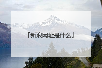 新浪网址是什么