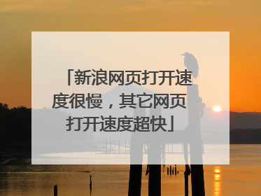 新浪网页打开速度很慢,其它网页打开速度超快
